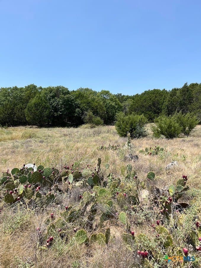 17.95 acres in Lampasas County - photo 14