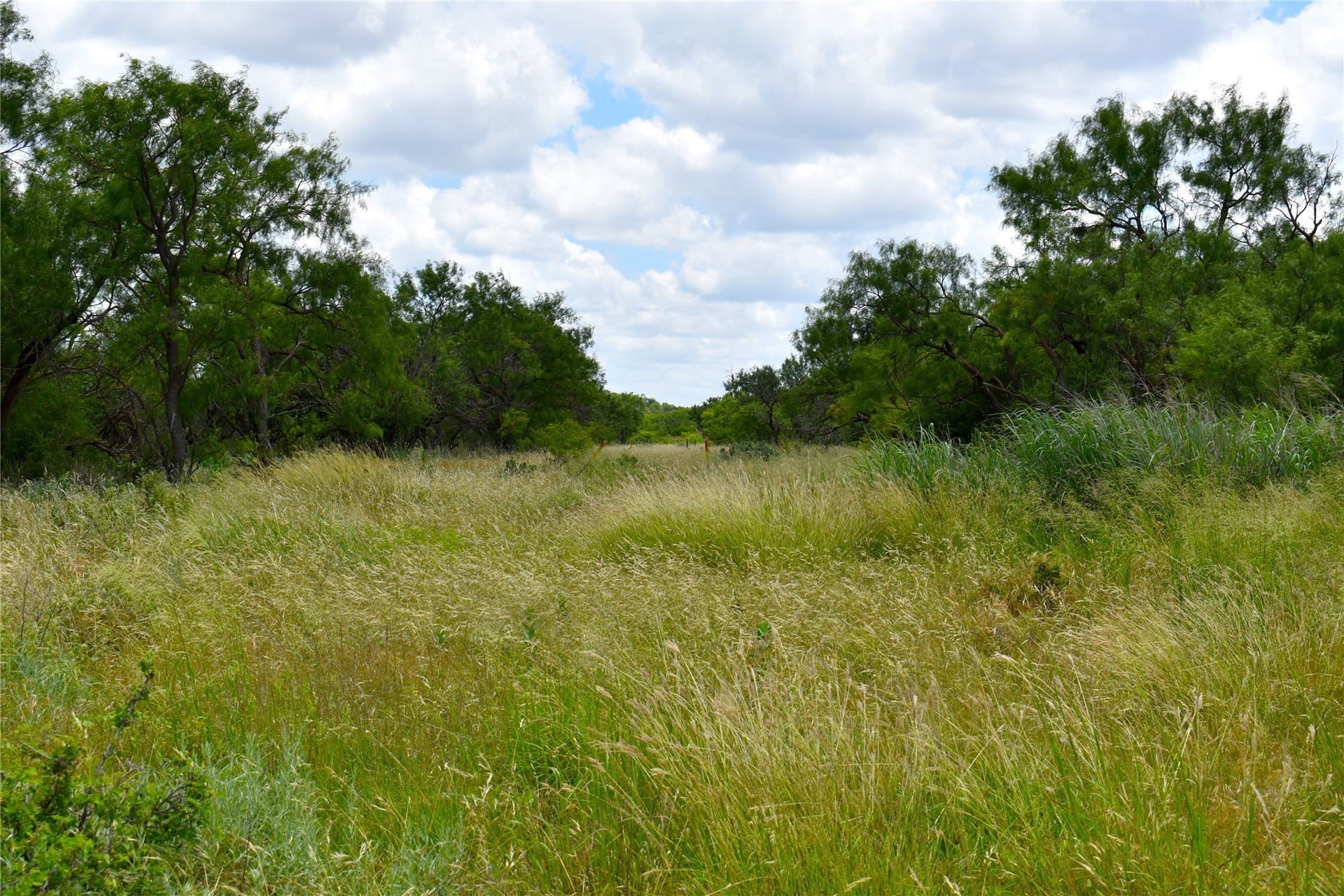 157 acres in Stephens County featured view