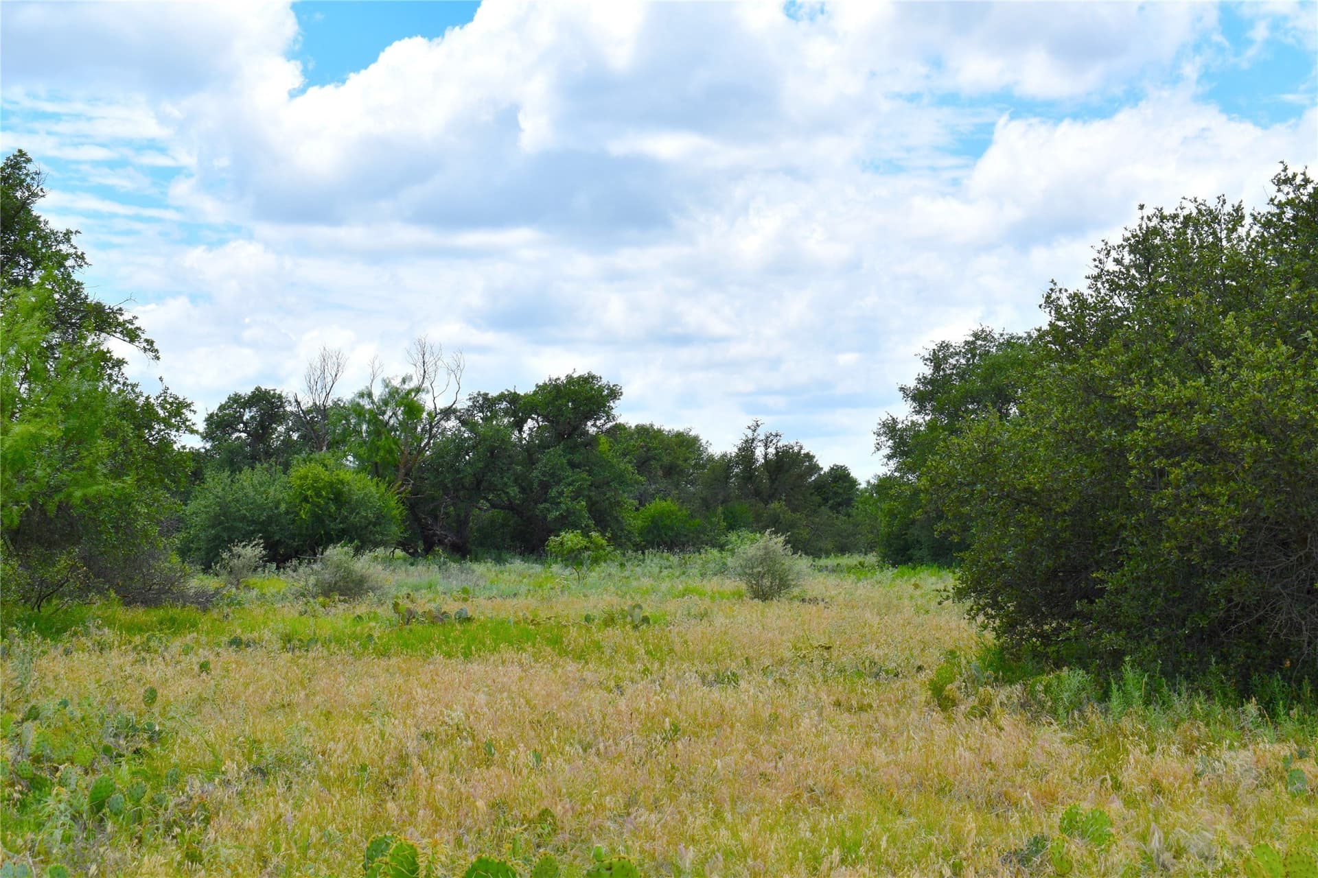 157 acres in Stephens County - photo 10
