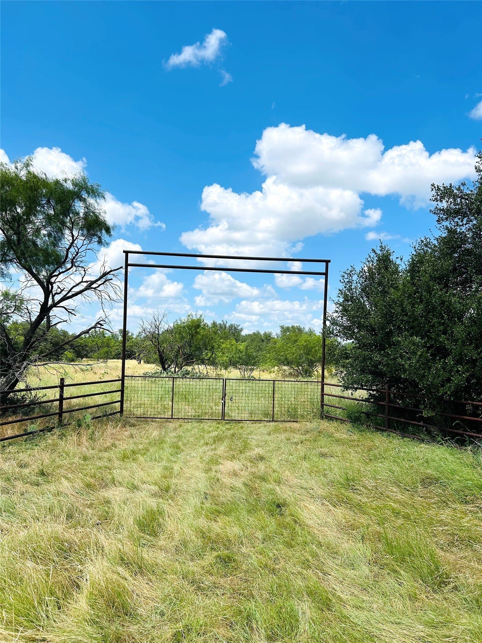 157 acres in Stephens County - photo 12