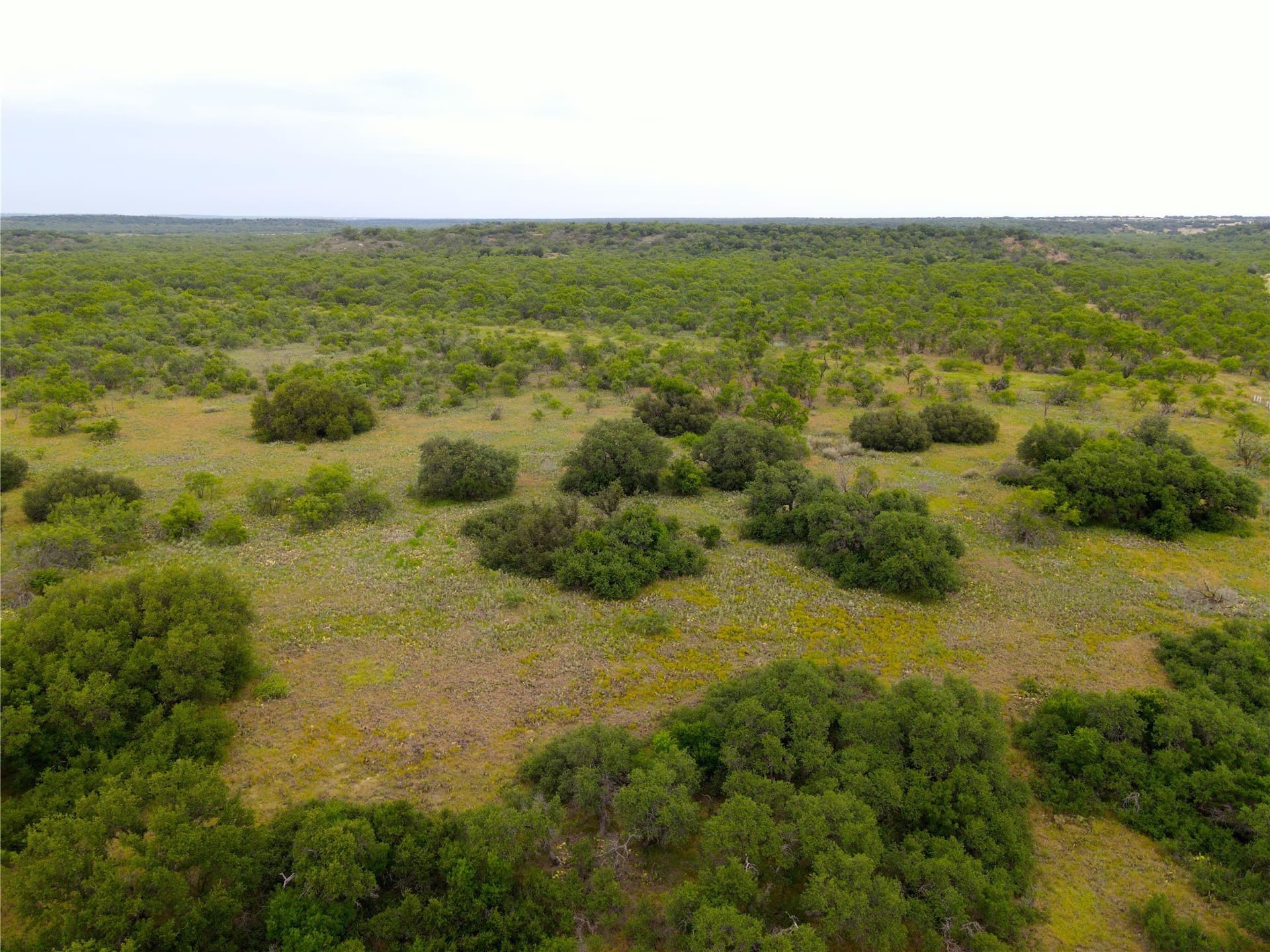 157 acres in Stephens County gallery image 2