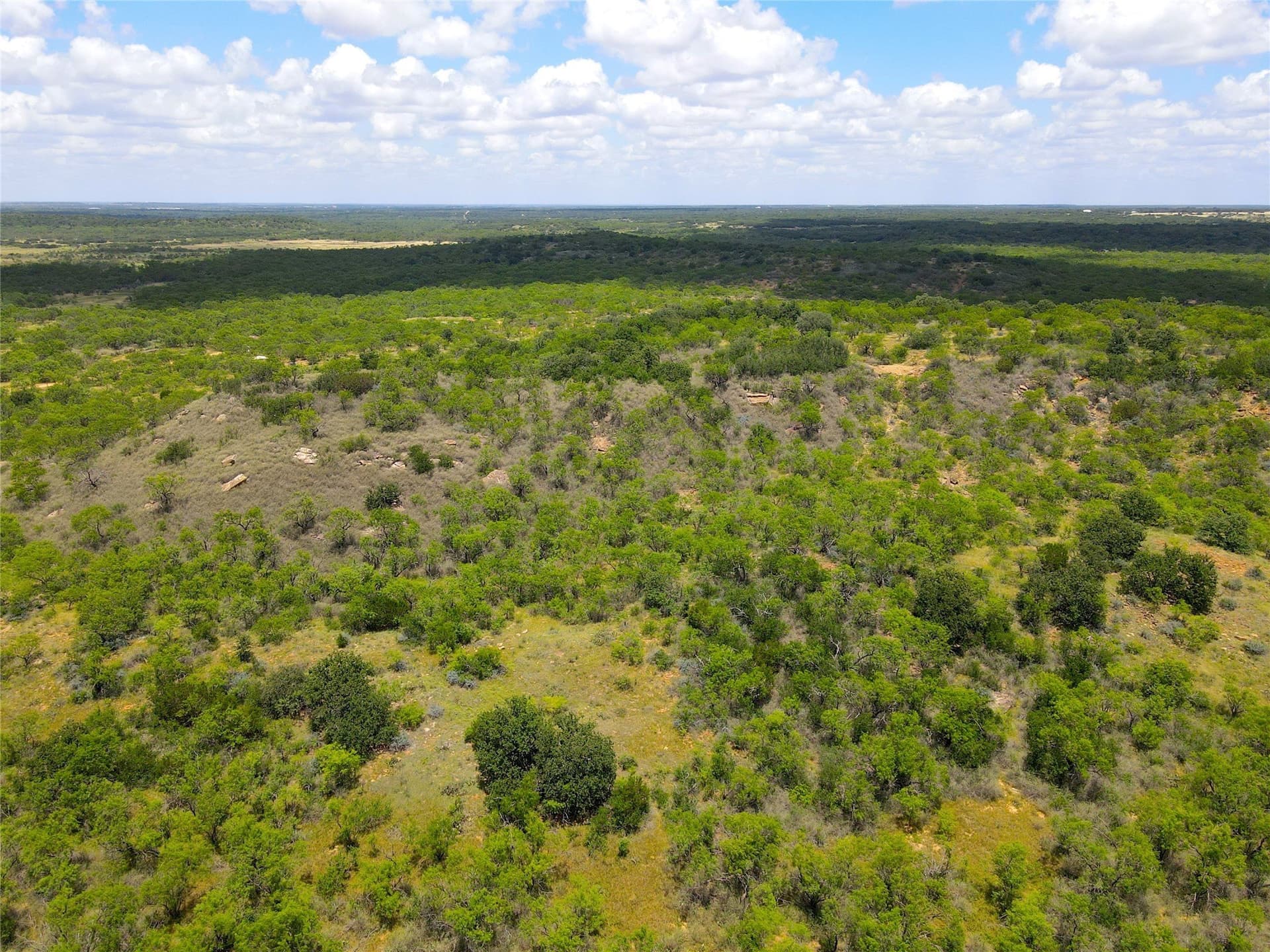 157 acres in Stephens County gallery image 3