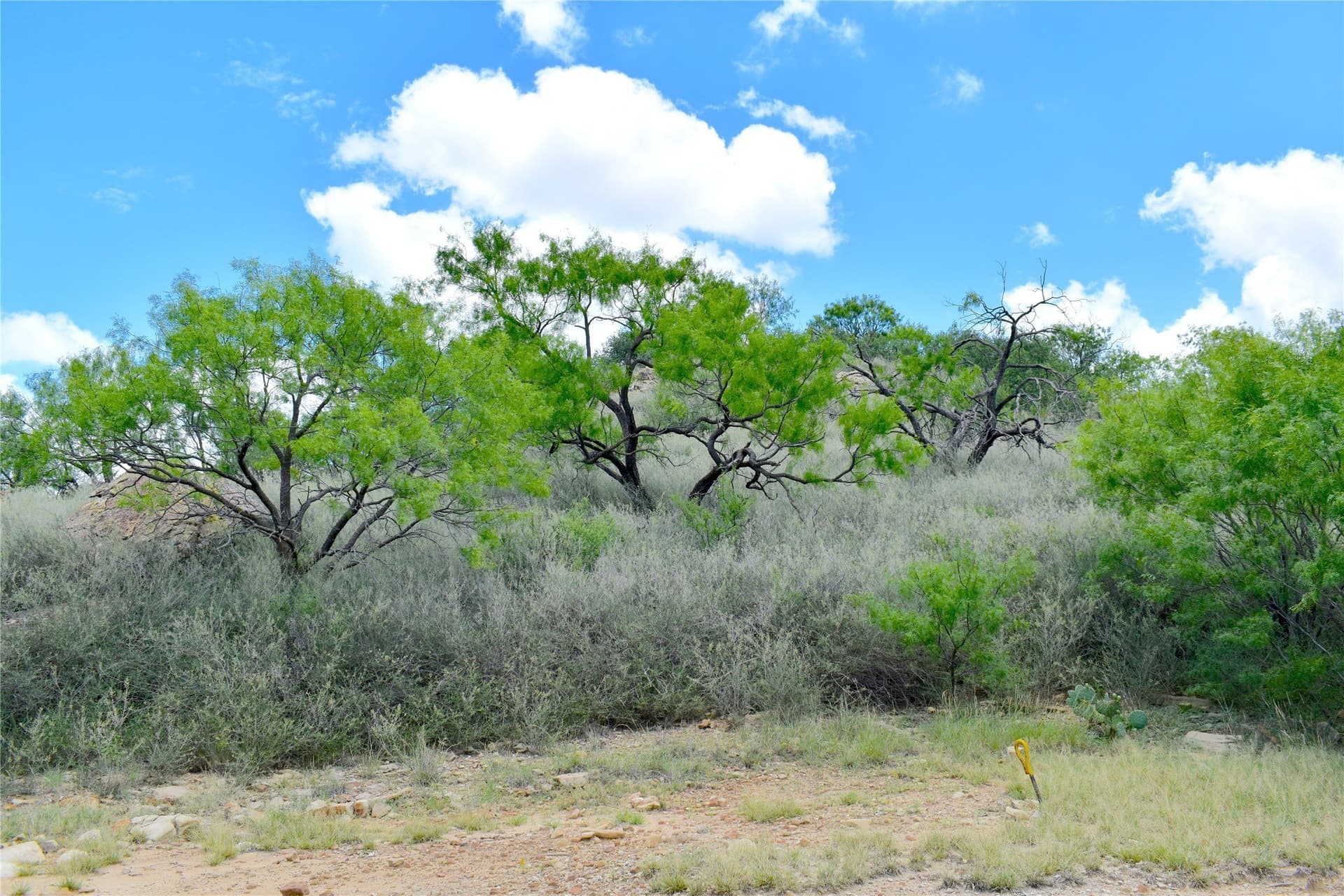 157 acres in Stephens County - photo 7