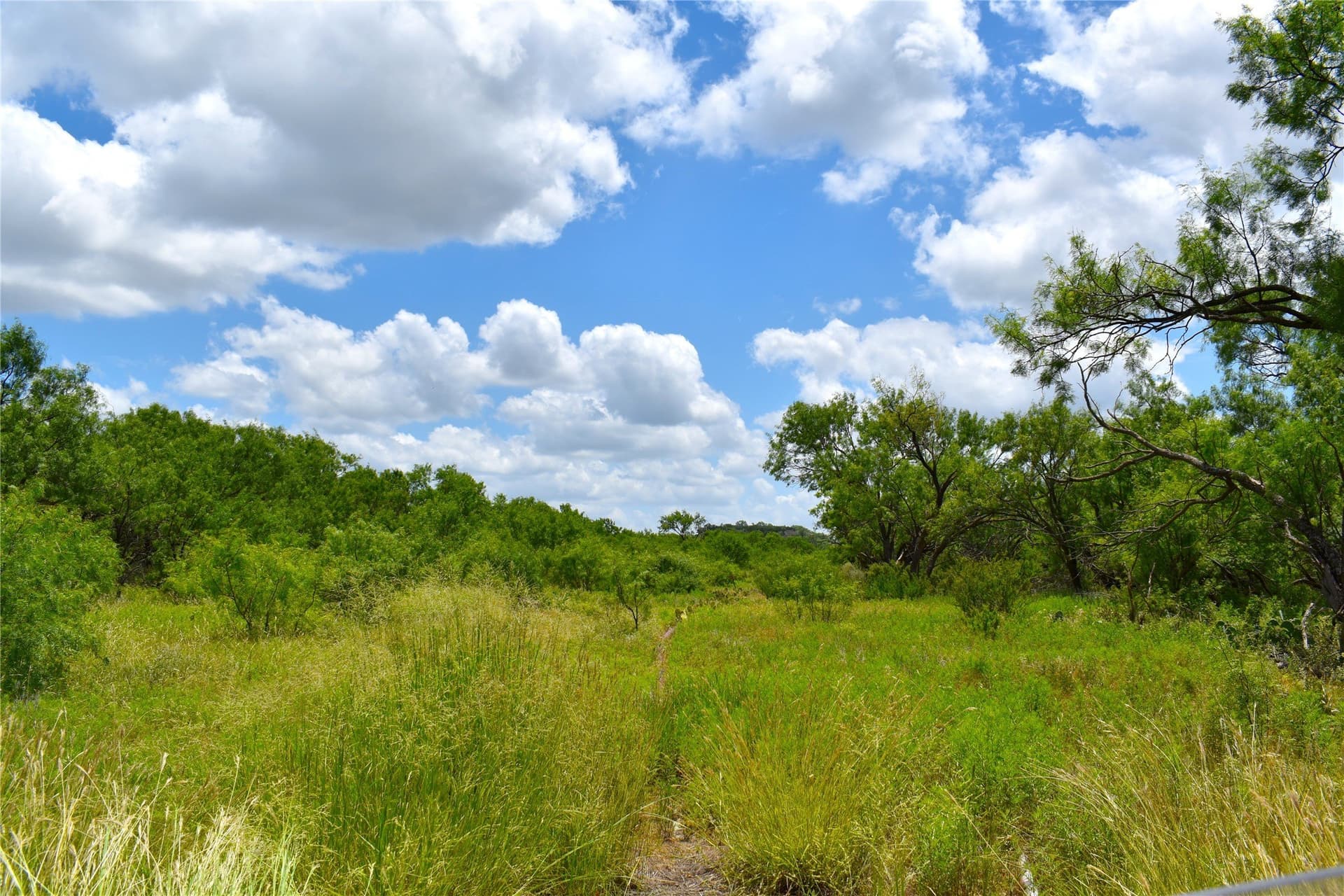 157 acres in Stephens County - photo 6