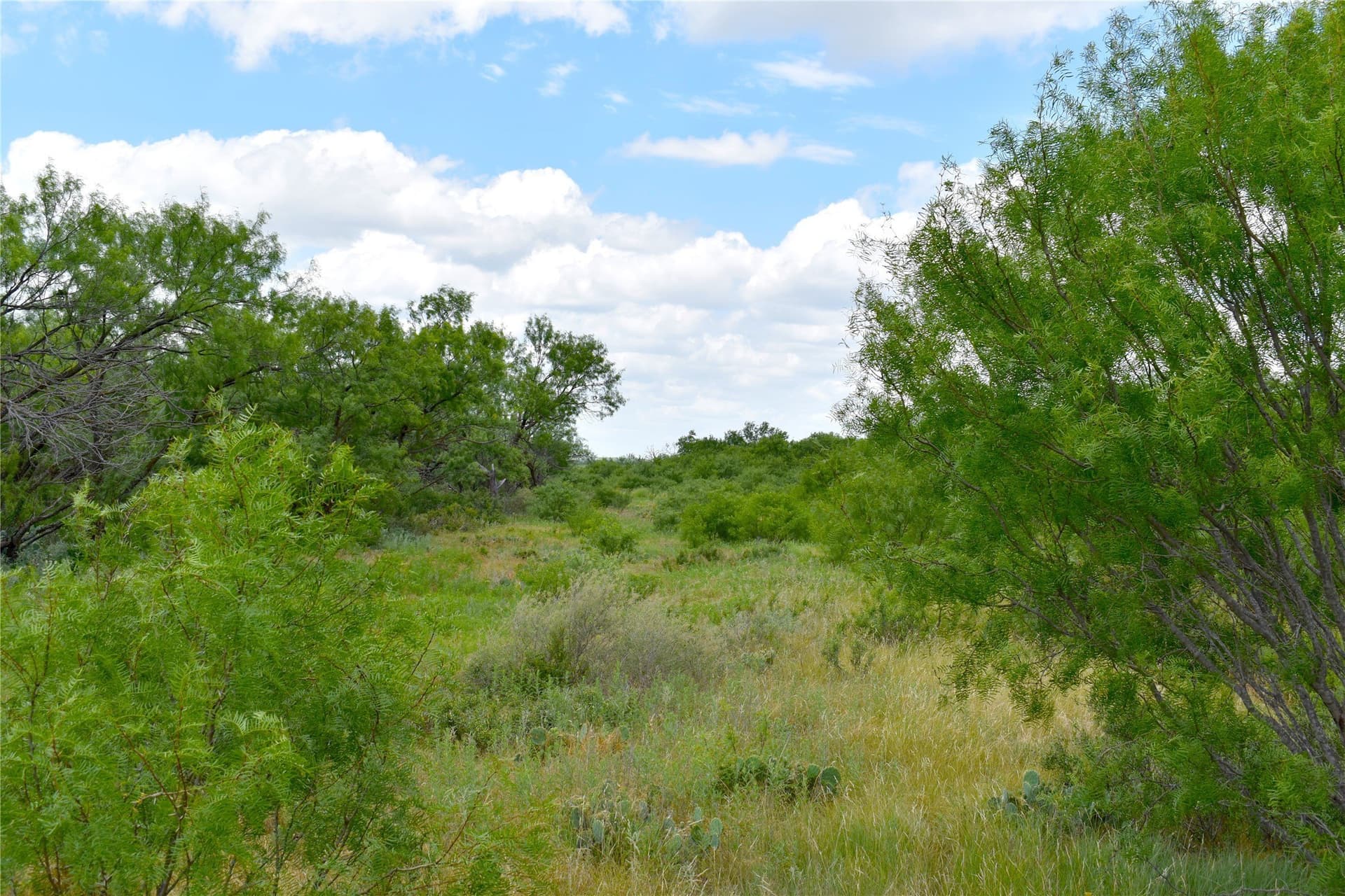 157 acres in Stephens County - photo 9