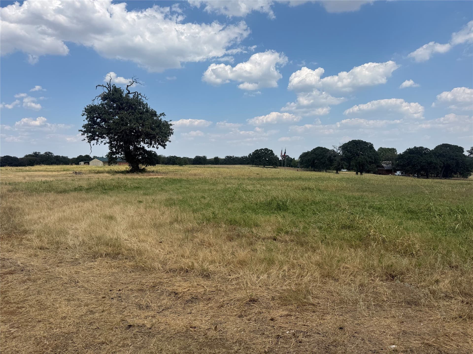2 acres in Denton County - photo 4