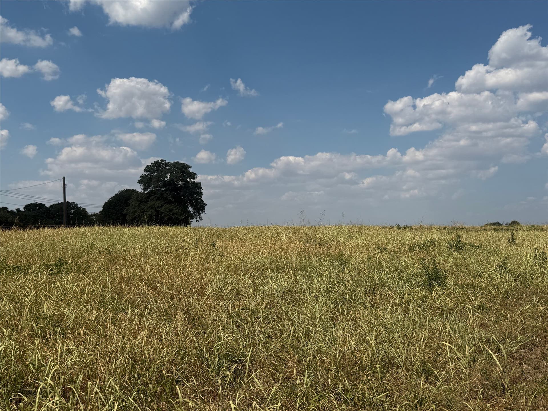 2 acres in Denton County - photo 9