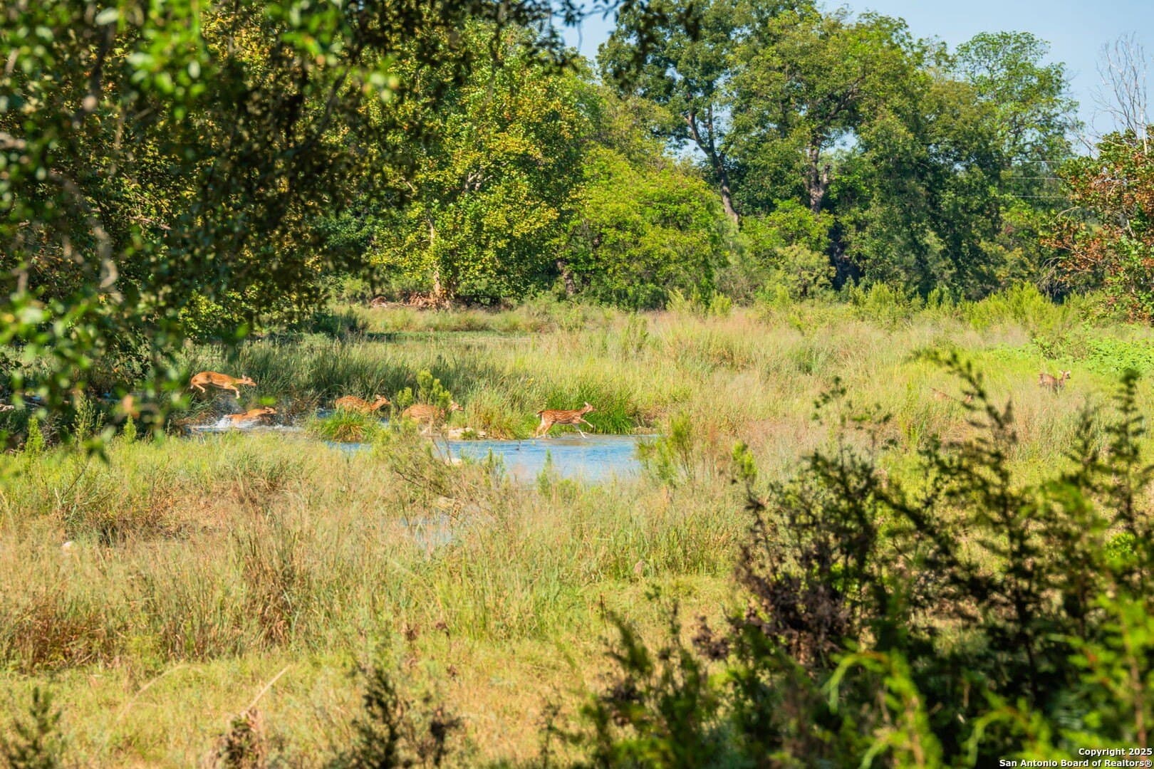 576.14 acres in Sutton County - photo 3