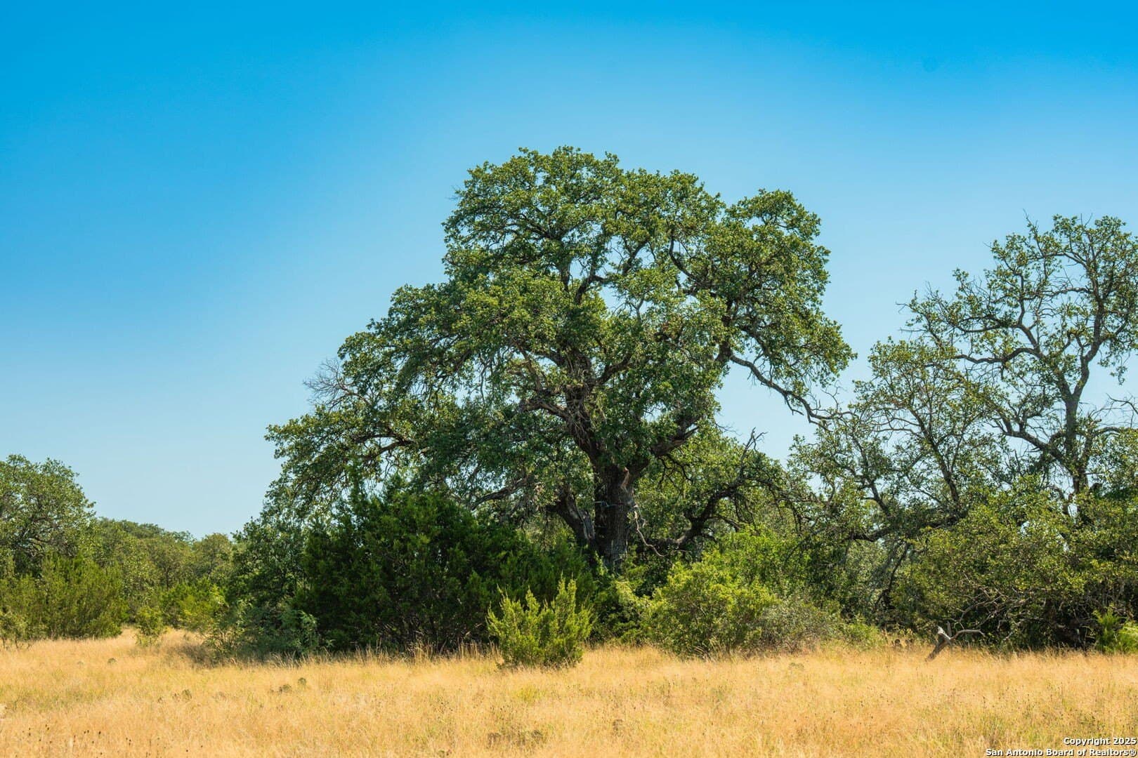 576.14 acres in Sutton County - photo 16