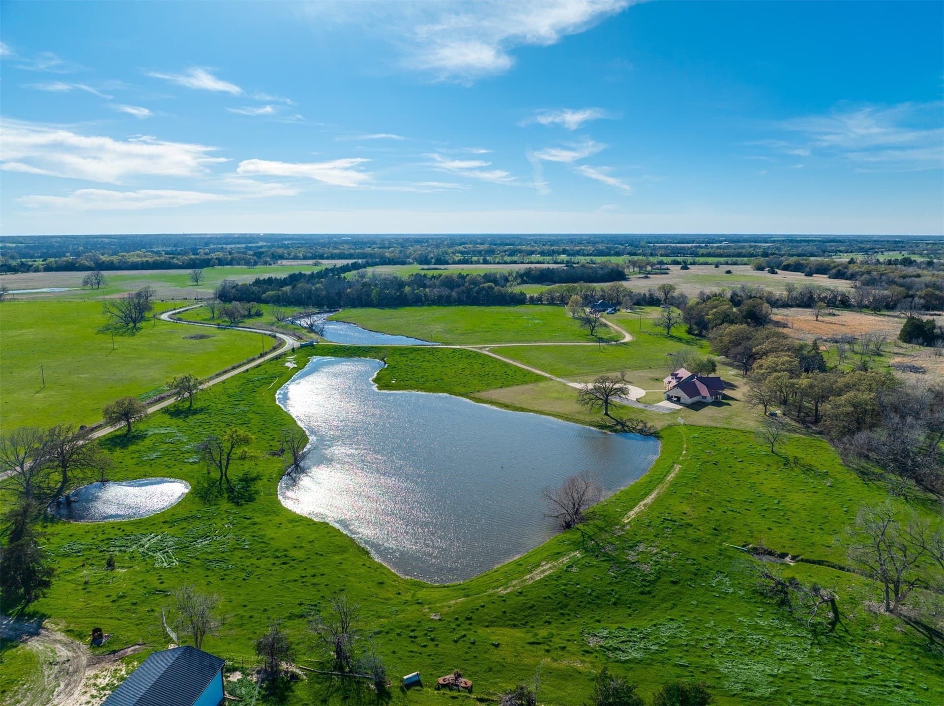 12.77 acres in Lamar County gallery image 4