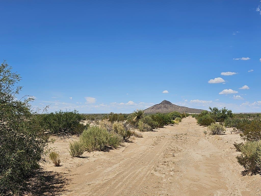 5 acres in Brewster County - photo 15