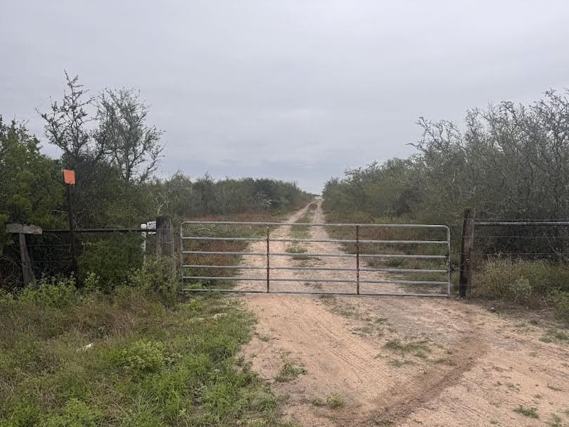 20 acres in Jim Wells County gallery image 3