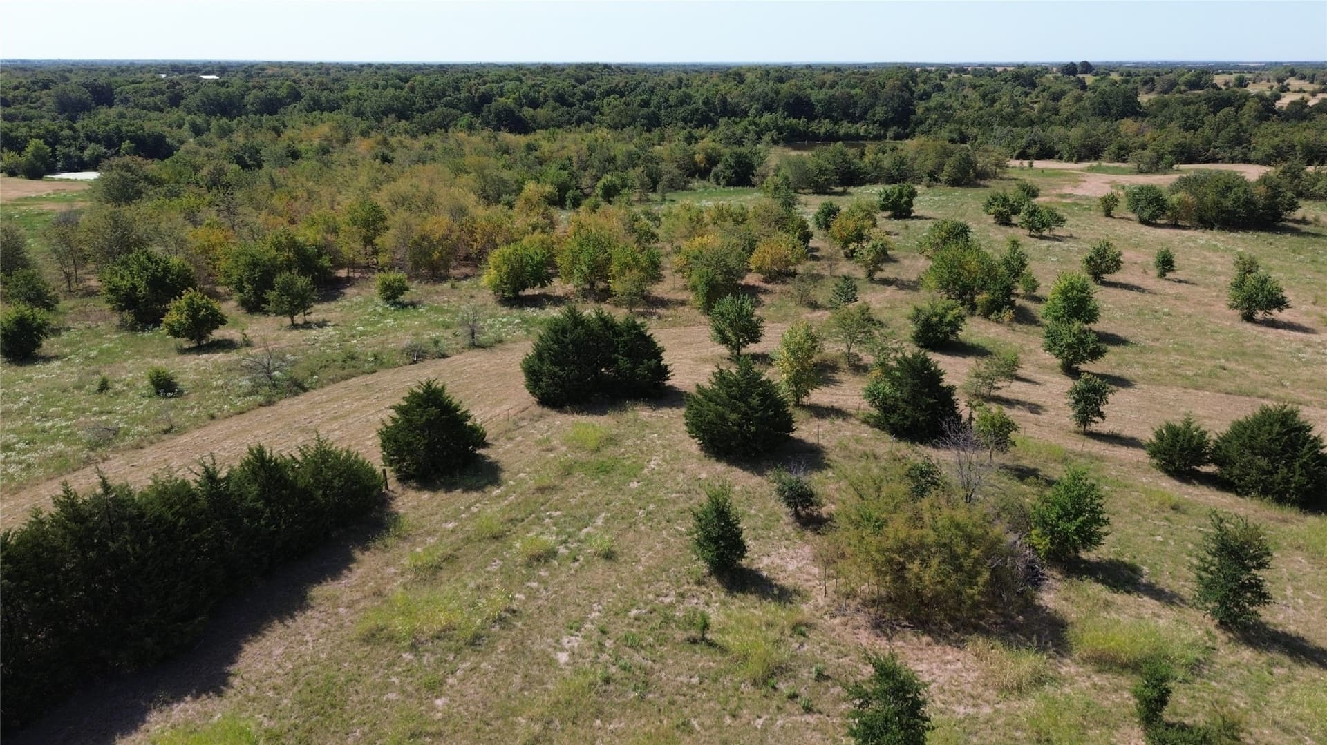 71.11 acres in Delta County - photo 22