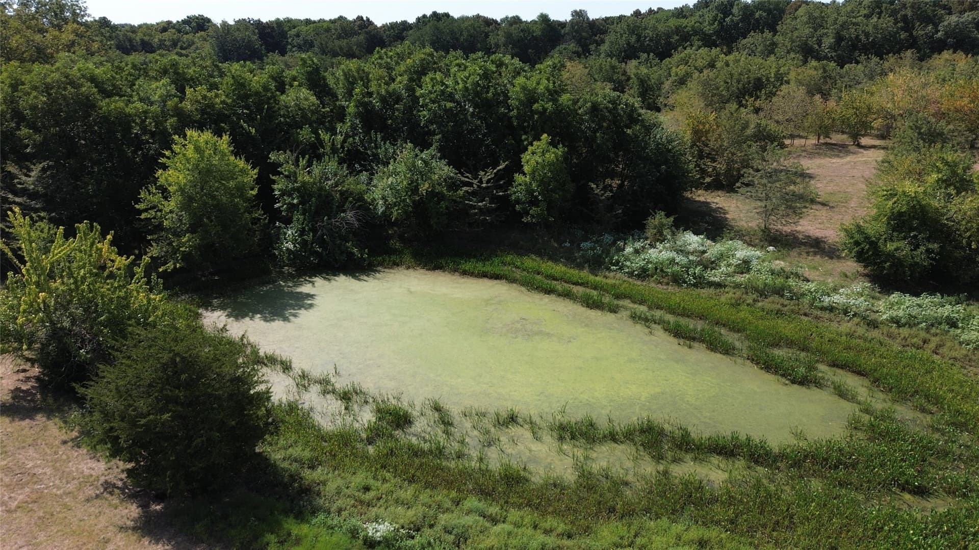71.11 acres in Delta County - photo 21
