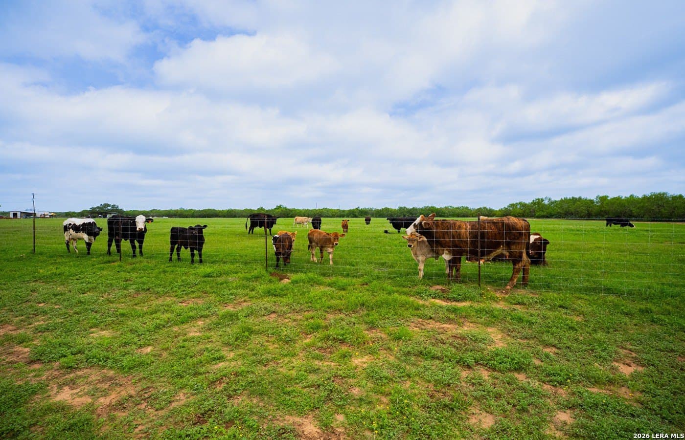 18 acres in Frio County - photo 13