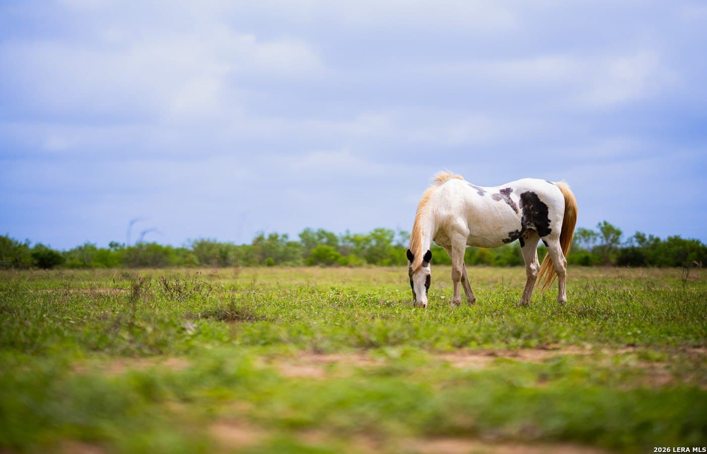 18 acres in Frio County - photo 10