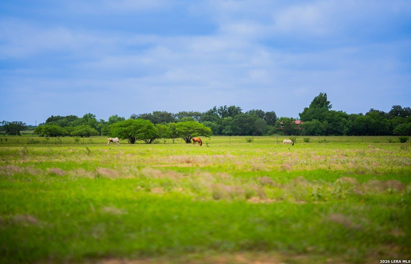 18 acres in Frio County - photo 11