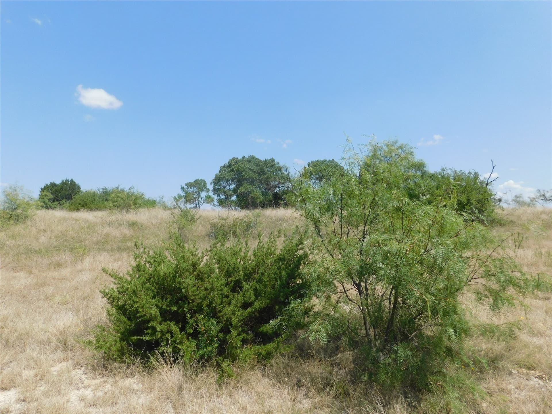 10.01 acres in Comanche County - photo 3