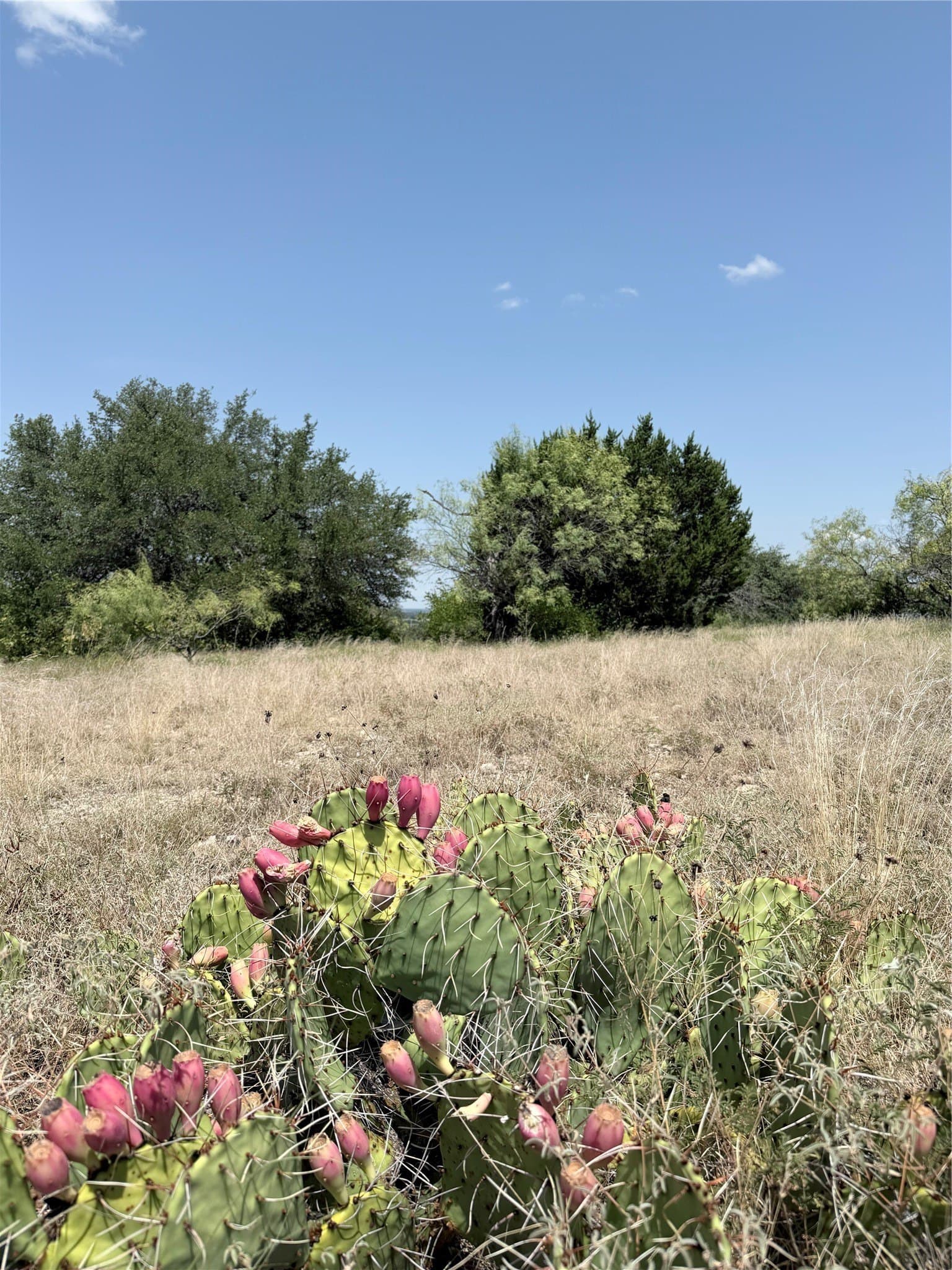 10.01 acres in Comanche County - photo 20