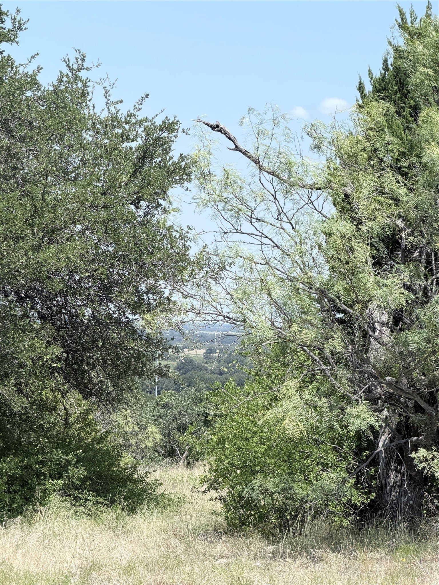 10.01 acres in Comanche County - photo 19