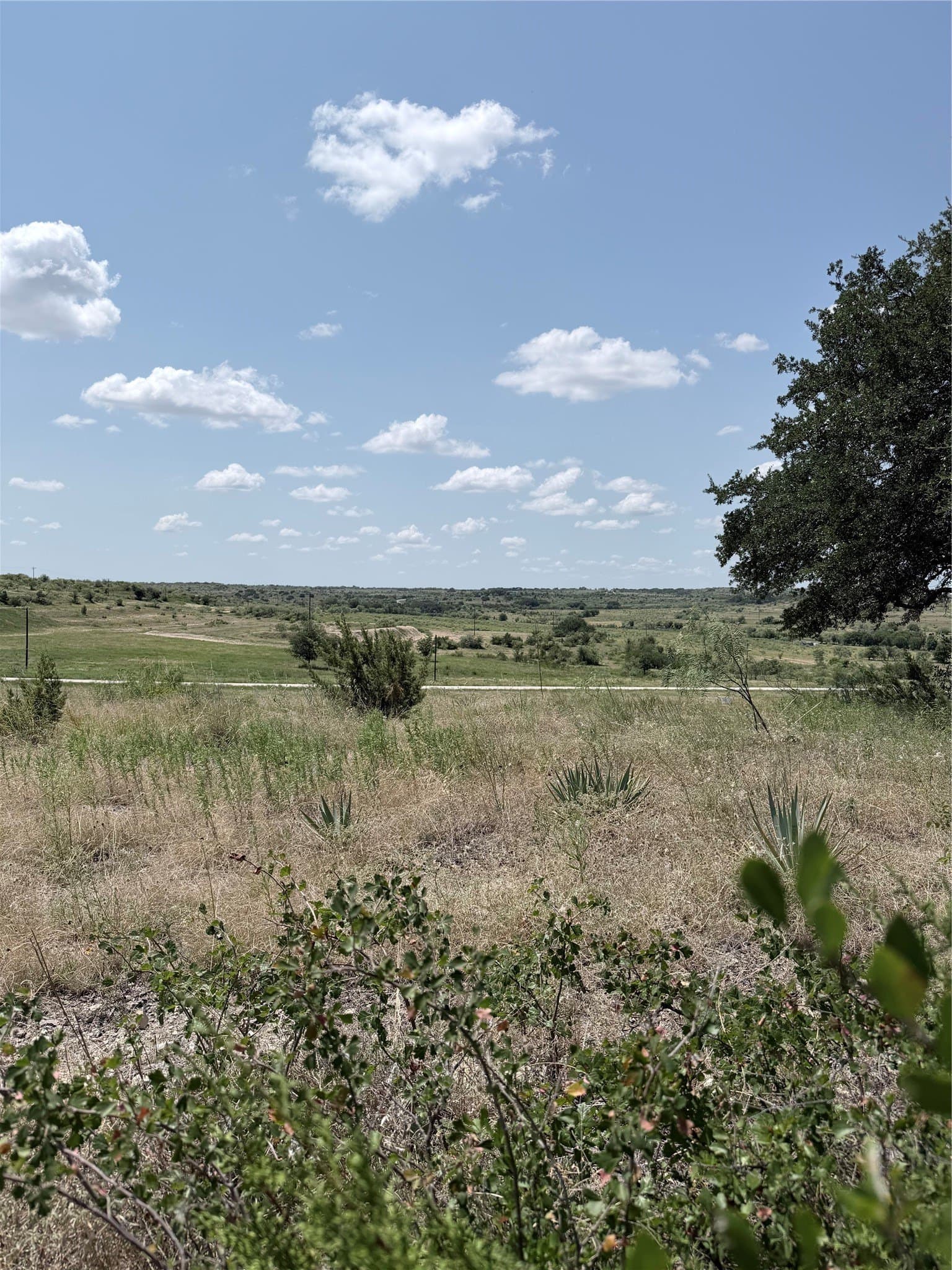 10.01 acres in Comanche County - photo 18