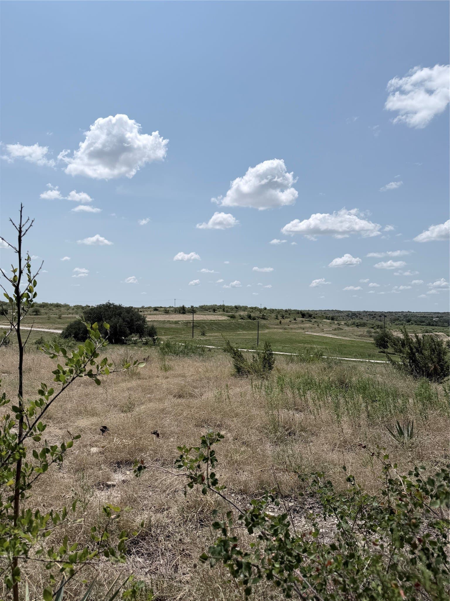10.01 acres in Comanche County - photo 17