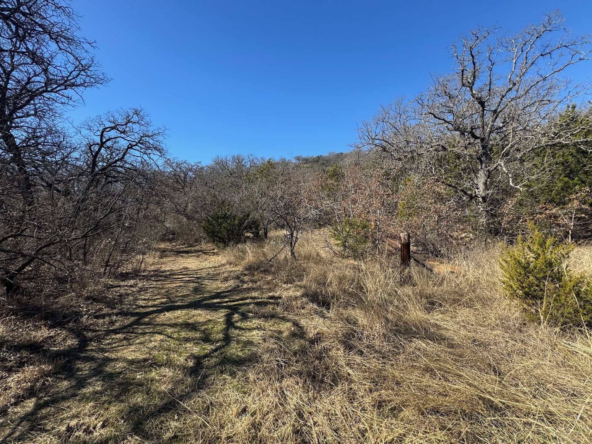 2.56 acres in Palo Pinto County - photo 2