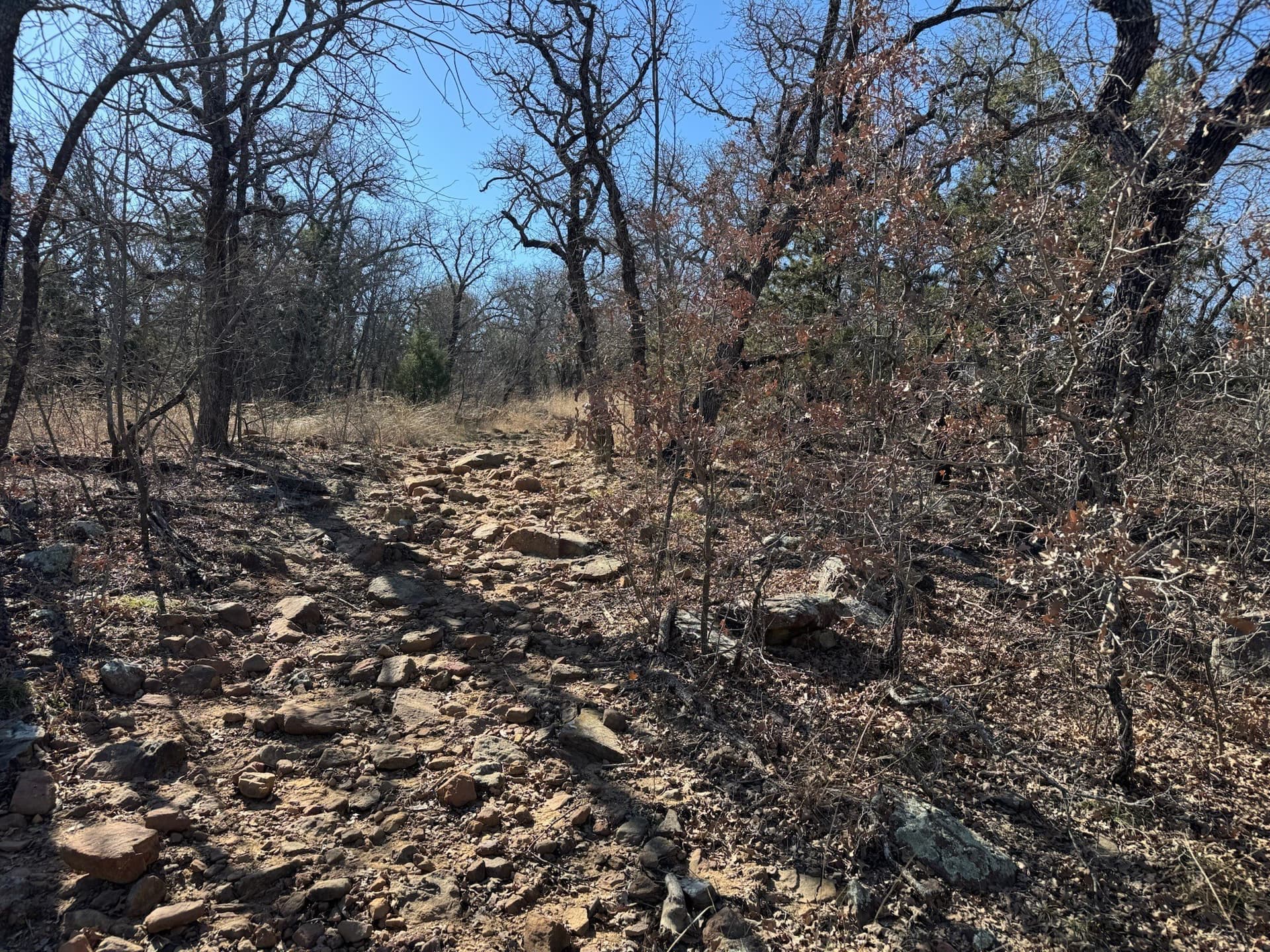 2.56 acres in Palo Pinto County - photo 4