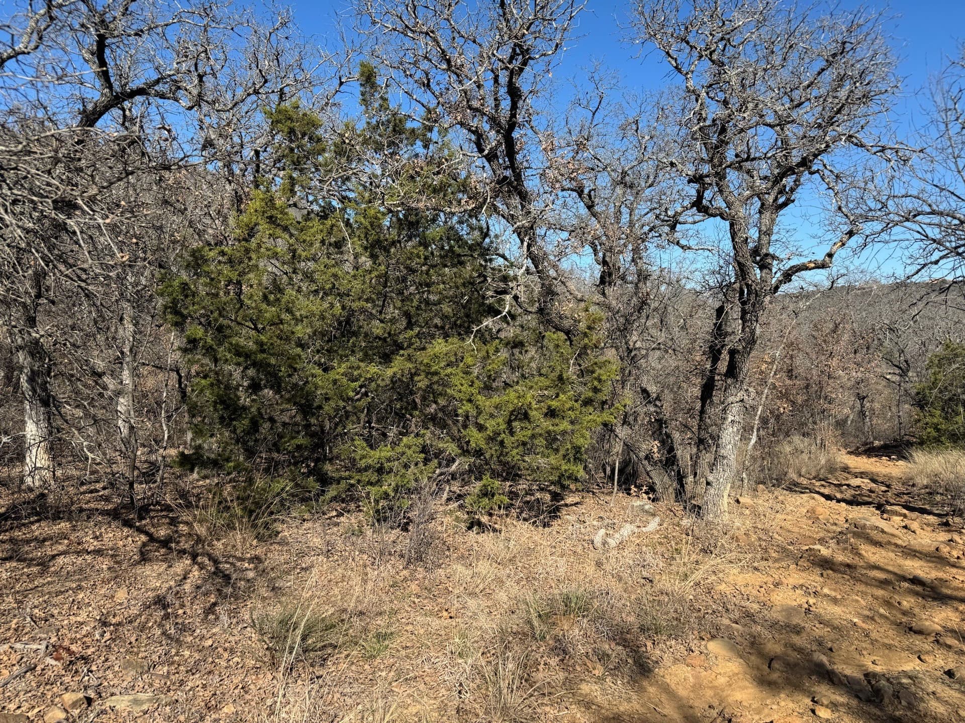 2.56 acres in Palo Pinto County - photo 6