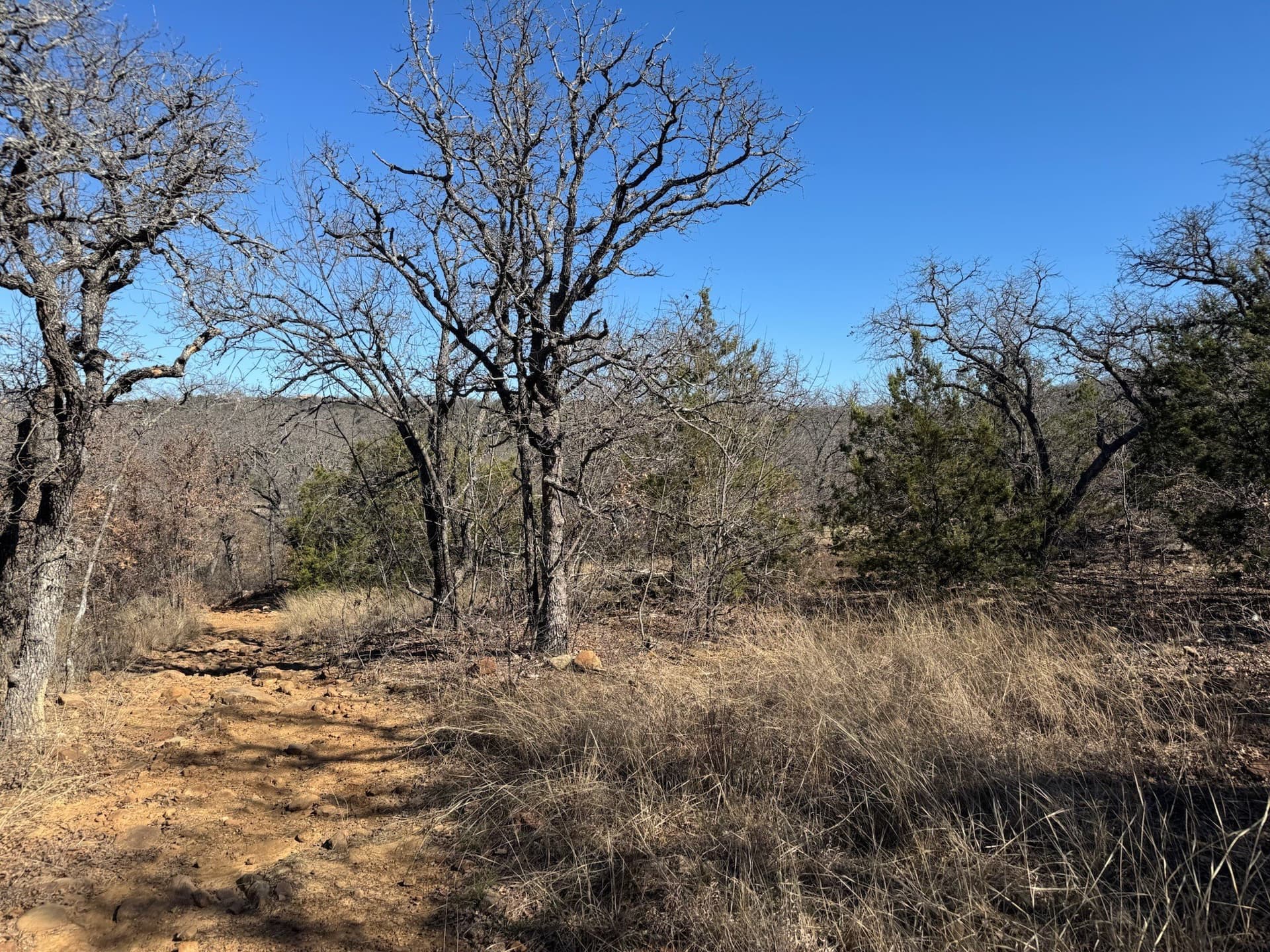 2.56 acres in Palo Pinto County - photo 7