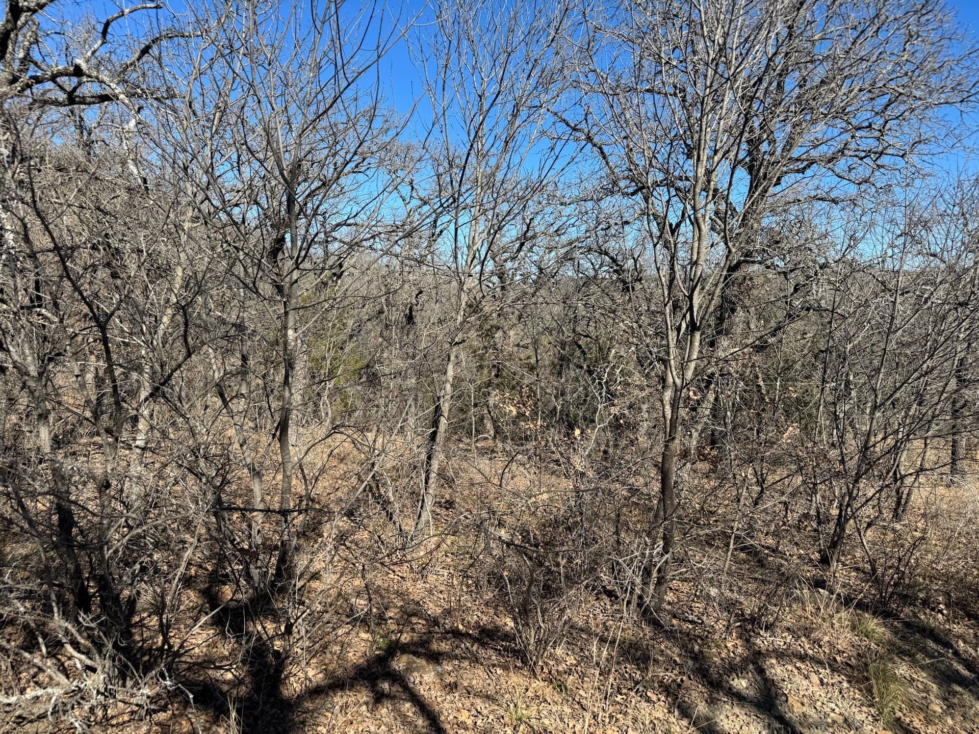2.56 acres in Palo Pinto County - photo 9