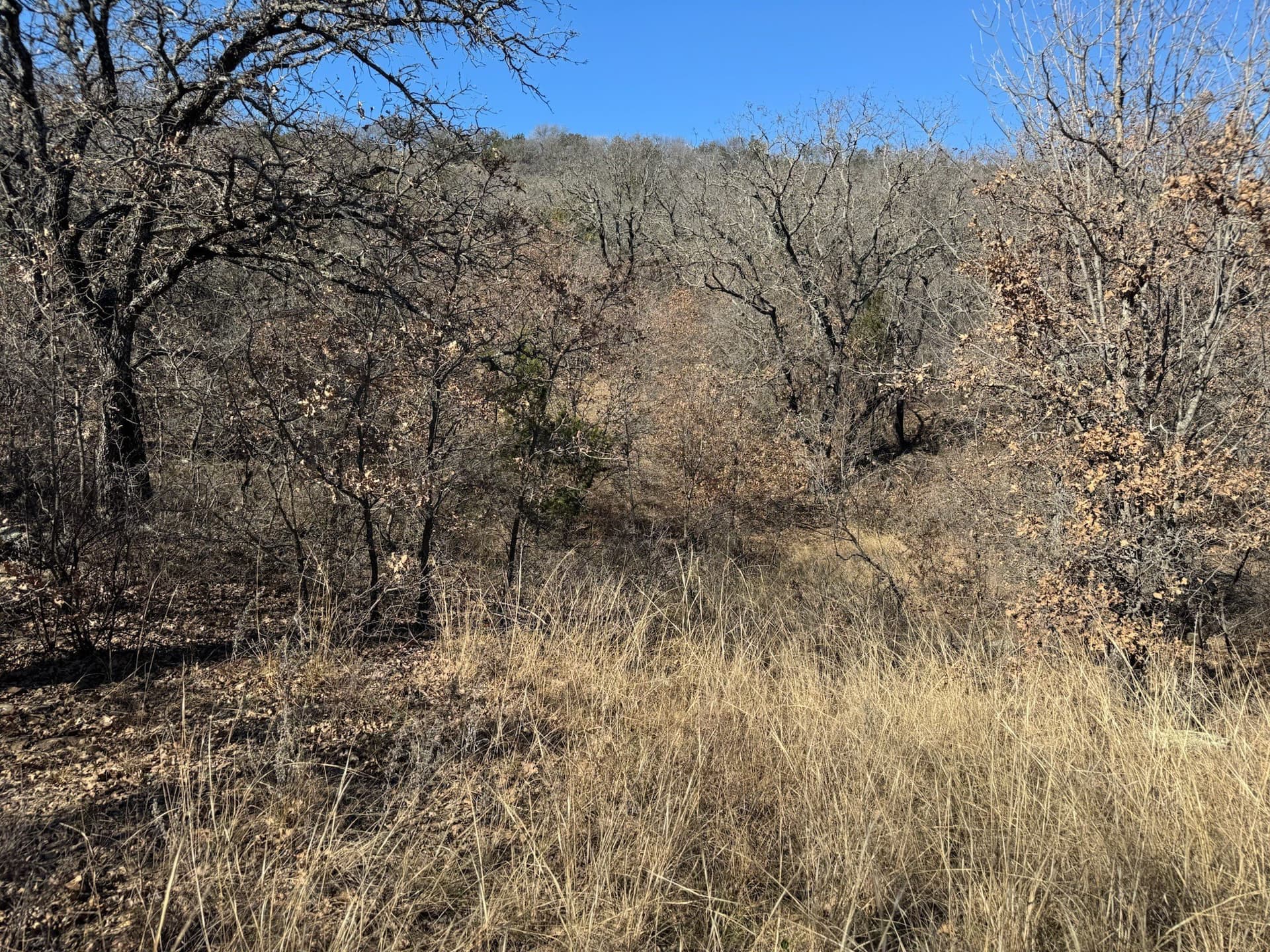 2.56 acres in Palo Pinto County - photo 5