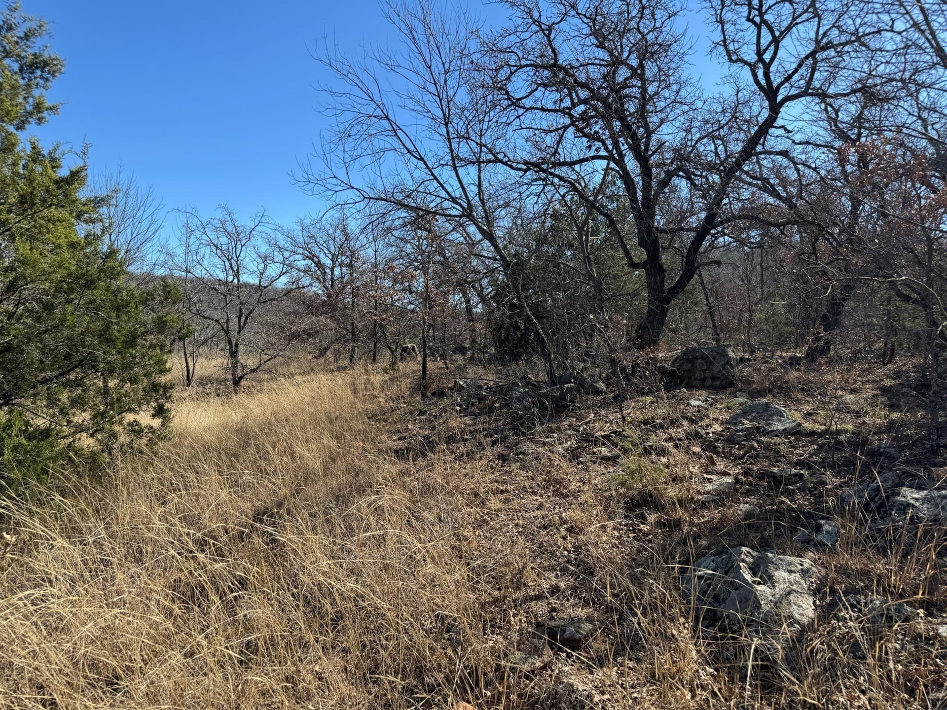 2.56 acres in Palo Pinto County - photo 3