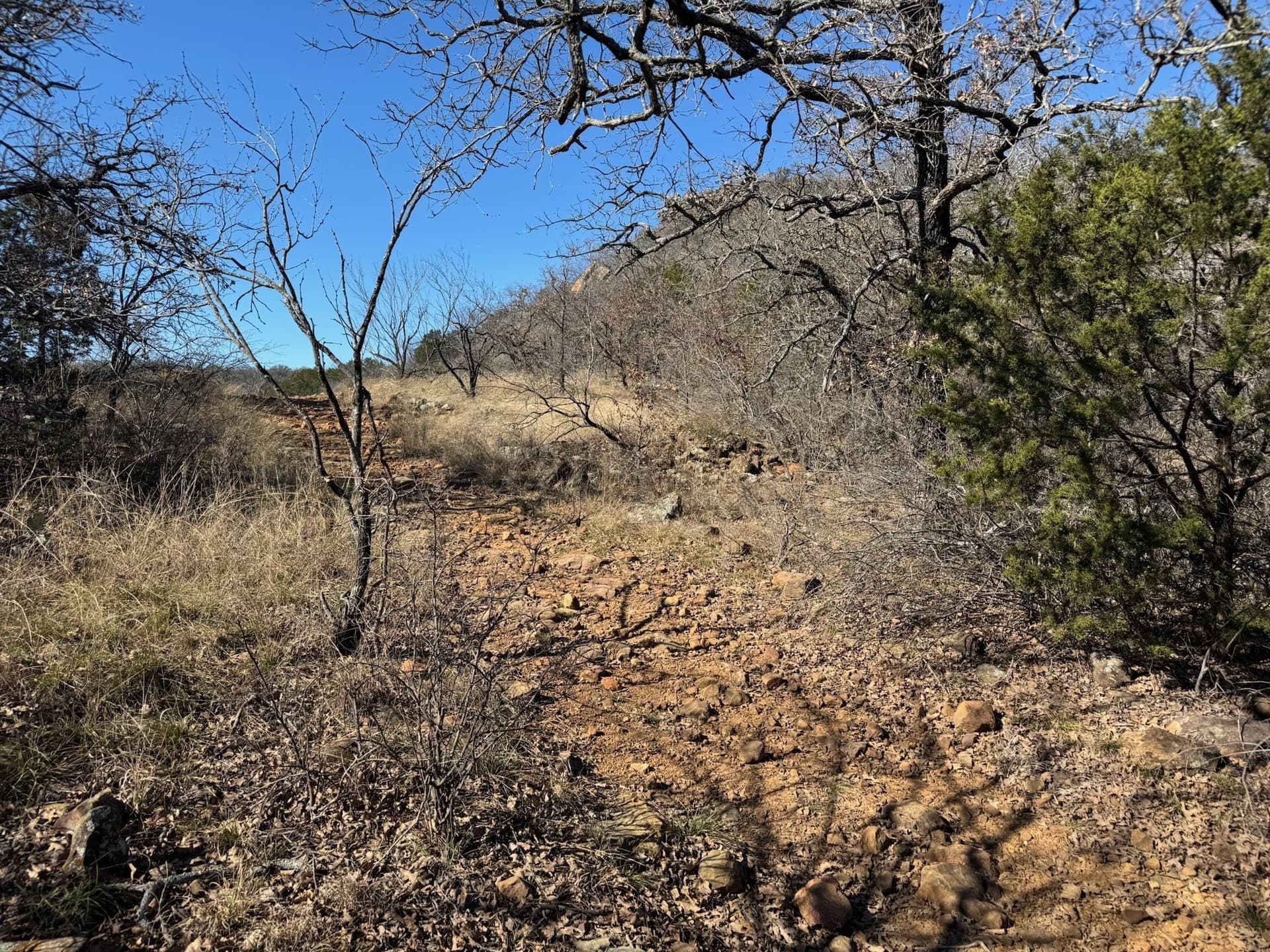 2.56 acres in Palo Pinto County - photo 8