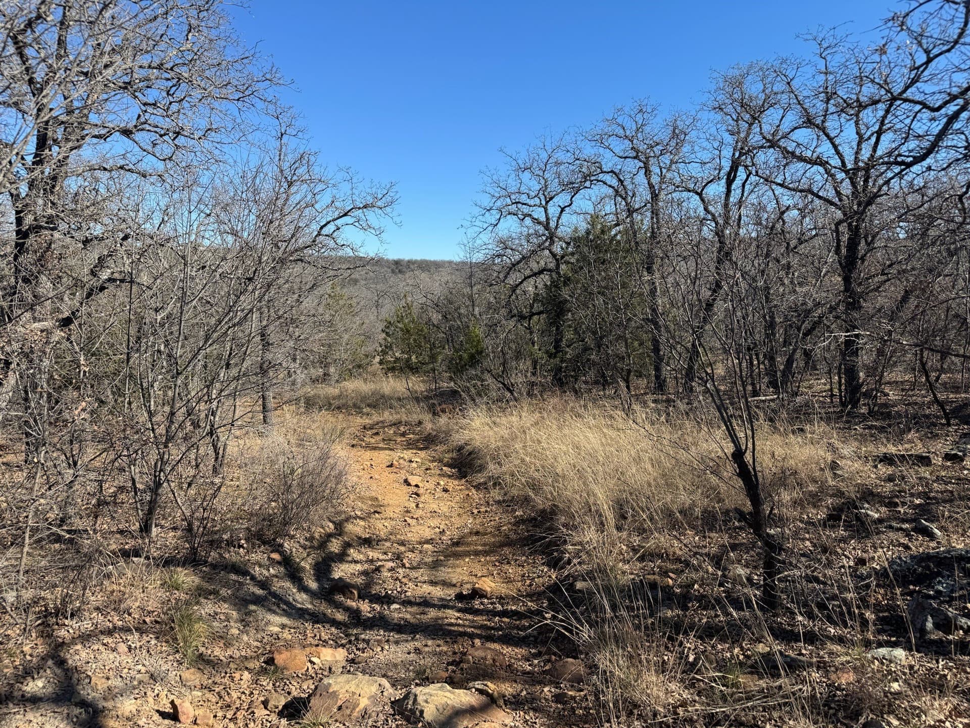 2.56 acres in Palo Pinto County - photo 10