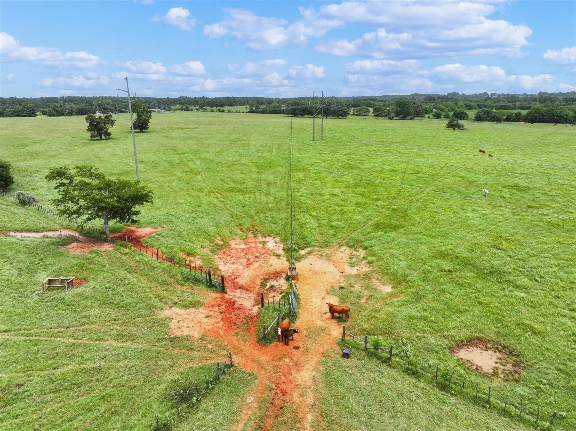 13.63 acres in Cherokee County - photo 9