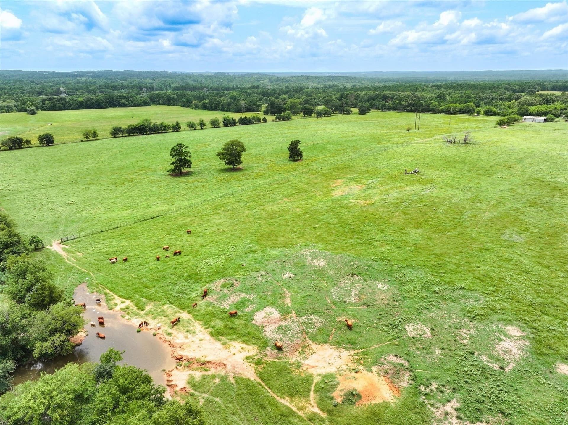 13.63 acres in Cherokee County - photo 11