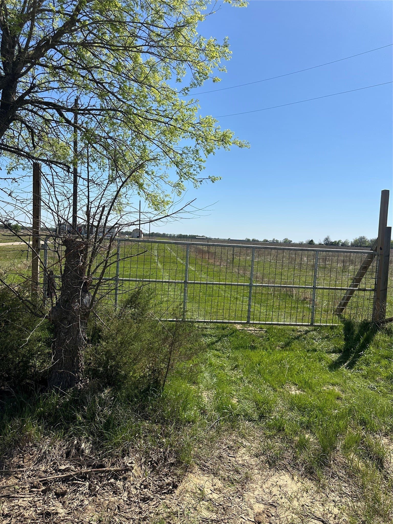 8.5 acres in Fannin County - photo 6