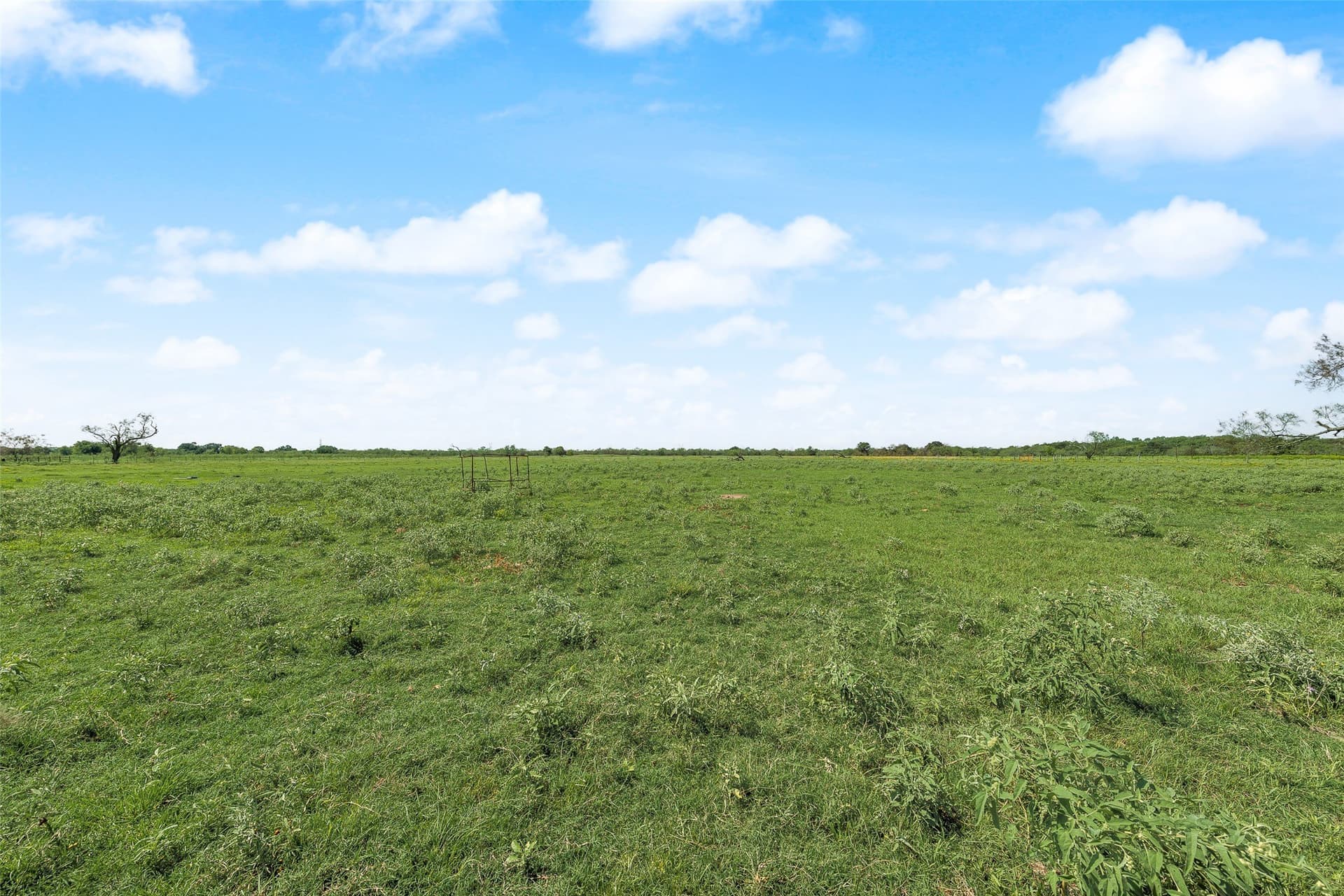 8.5 acres in Fannin County - photo 2