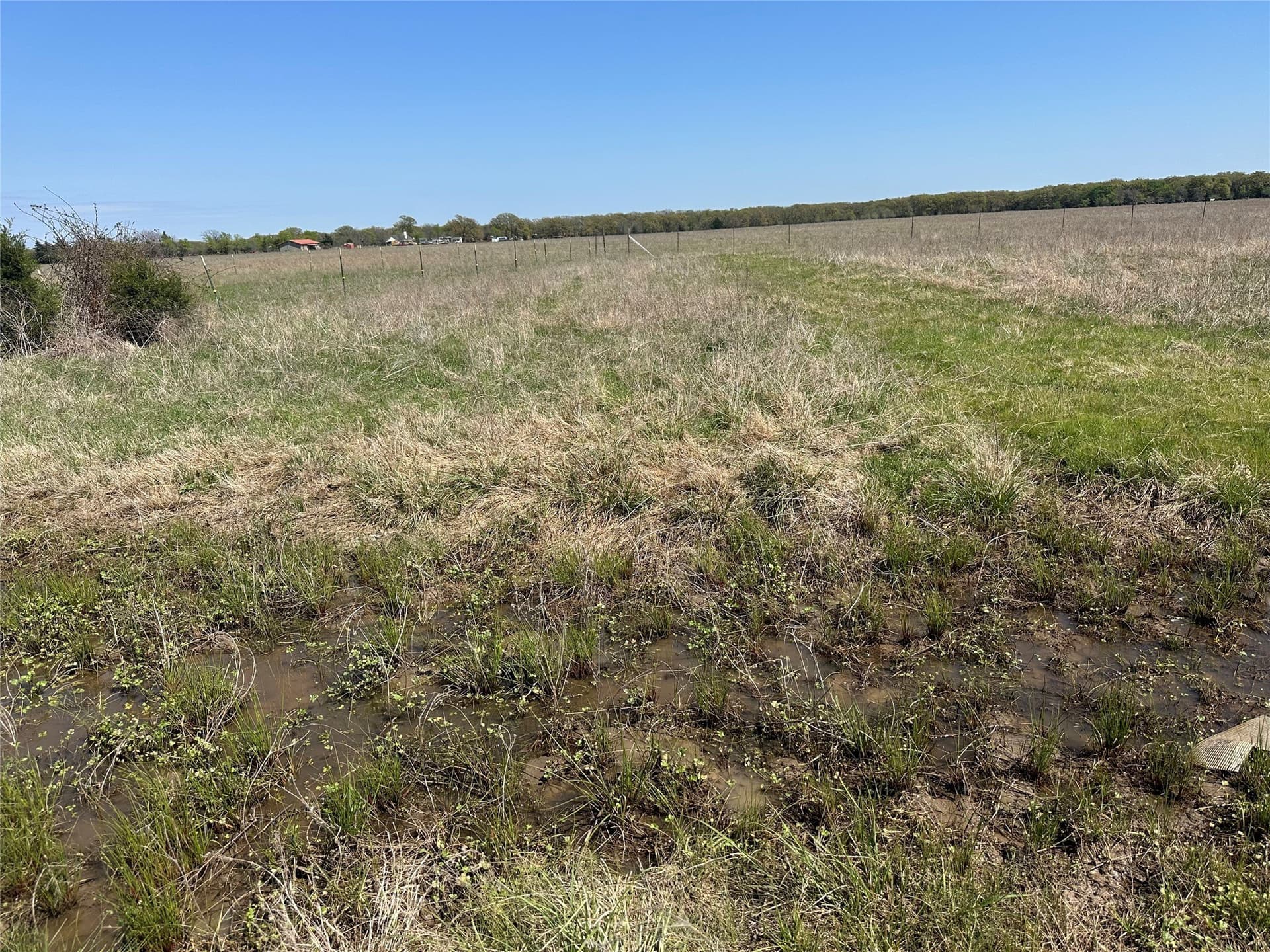 8.5 acres in Fannin County - photo 4