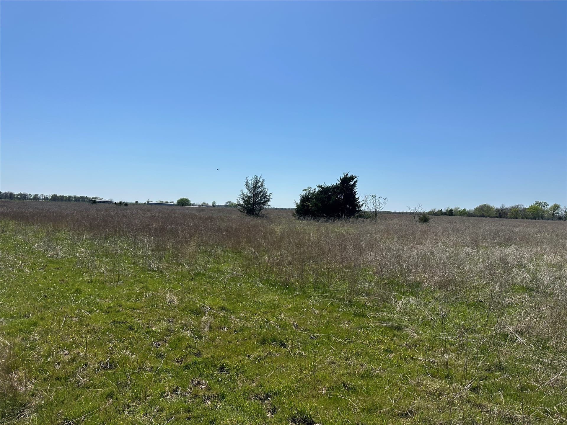 8.5 acres in Fannin County - photo 3
