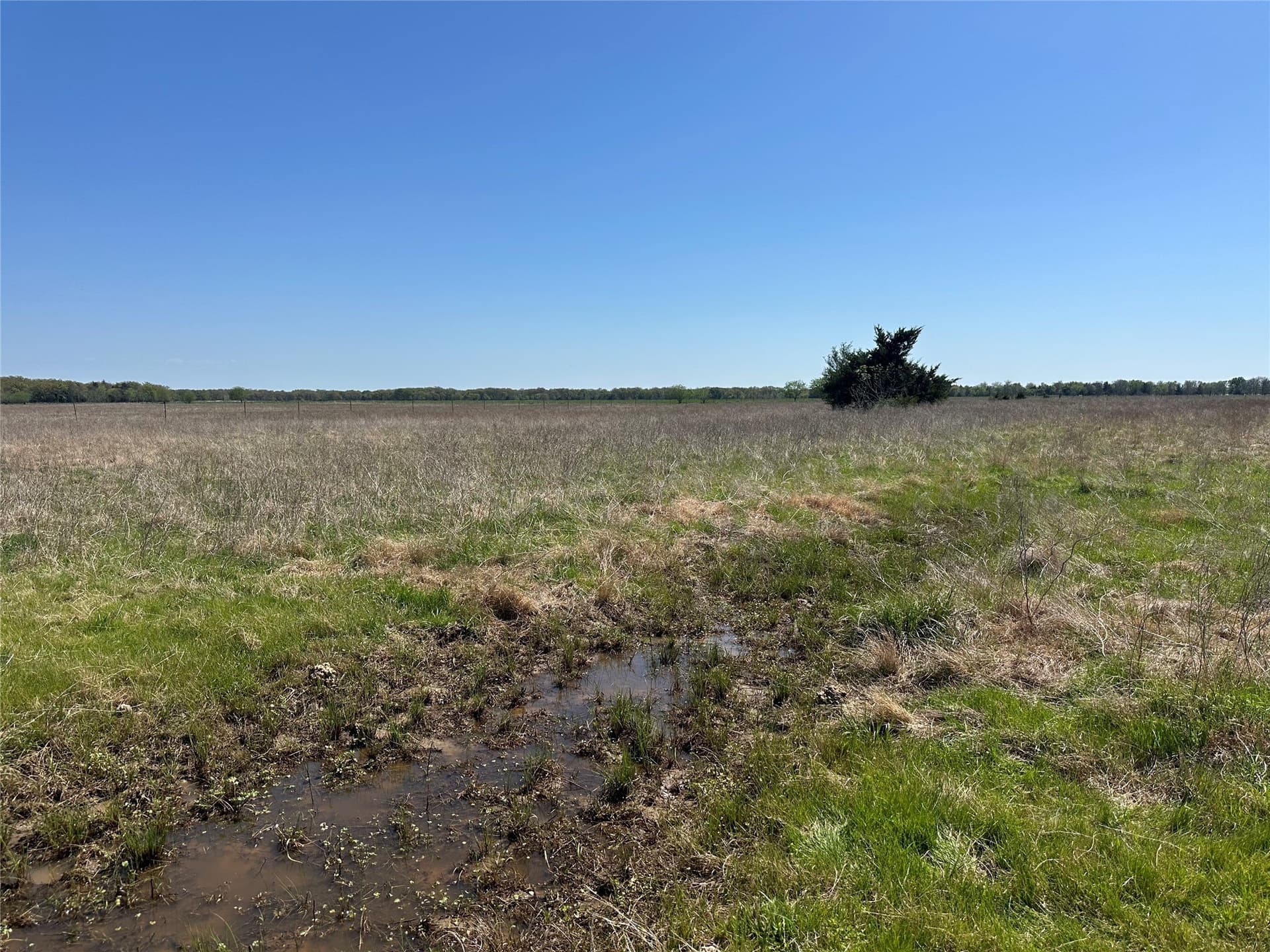 8.5 acres in Fannin County - photo 5