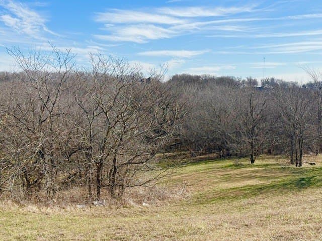 1.14 acres in Dallas County - photo 9