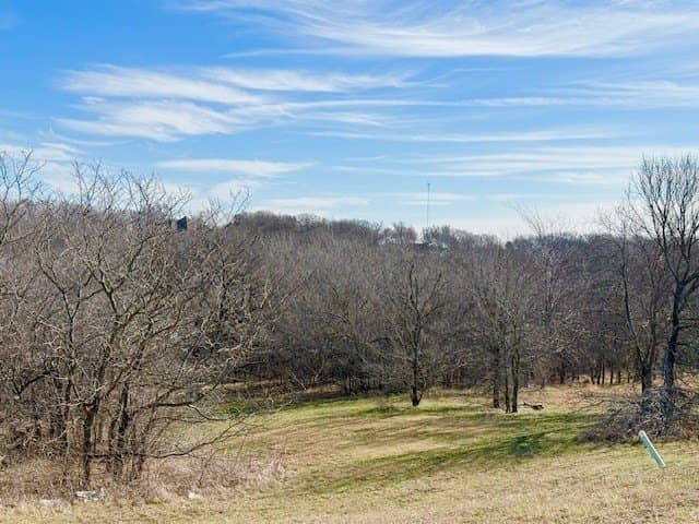 1.14 acres in Dallas County - photo 8