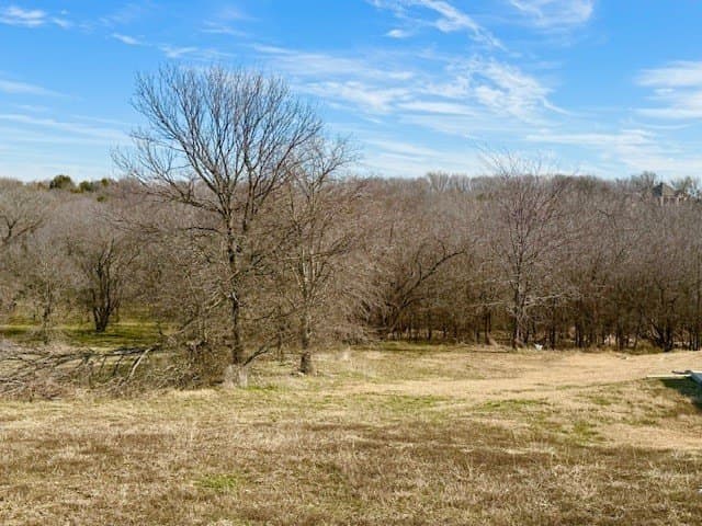 1.14 acres in Dallas County - photo 6