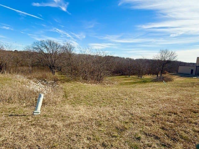 1.14 acres in Dallas County gallery image 4