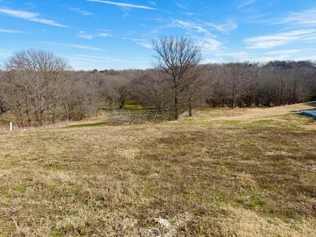 1.14 acres in Dallas County gallery image 2