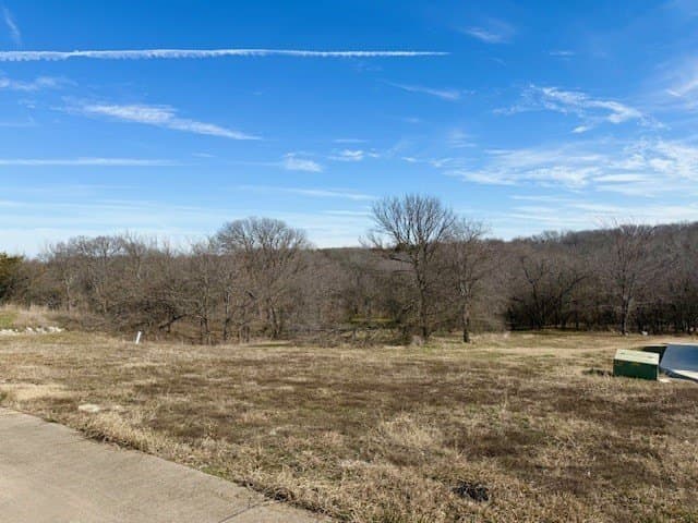 1.14 acres in Dallas County - photo 10