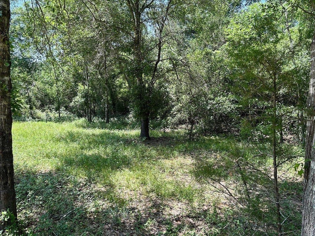 4.68 acres in Washington County - photo 13