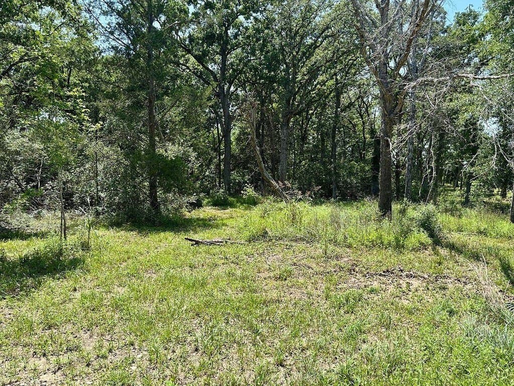 4.68 acres in Washington County - photo 12